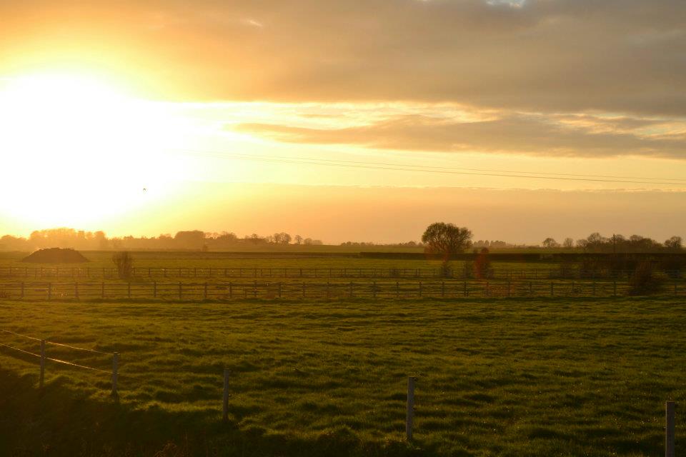 Lincolnshire Fields